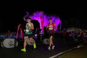 BIB: 
                            <button type="button" onclick="openModal(26544070)" class="btn btn-primary btn-sm float-right btn-popup" data-toggle="modal" data-target=".modal-high-quality">
                        <i class="fas fa-shopping-cart"></i> Add to Cart
                    </button>
                                            <button type="button" onclick="isThisMe(26544070, true)" class="btn btn-success btn-sm float-right btn-popup btn-isme hidden" data-toggle="tooltip" data-placement="bottom" title="นี่คือรูปของคุณใช่ไหม คลิกที่นี่เพื่อเอาเข้าอัลบั้ม">
                        <i class="fas fa-plus"></i> Add to album
                    </button>
                    <button type="button" onclick="isThisMe(26544070, false)" class="btn btn-warning btn-sm float-right btn-popup btn-isnotme hidden">
                        <i class="fas fa-ban"></i> Remove from album
                    </button>